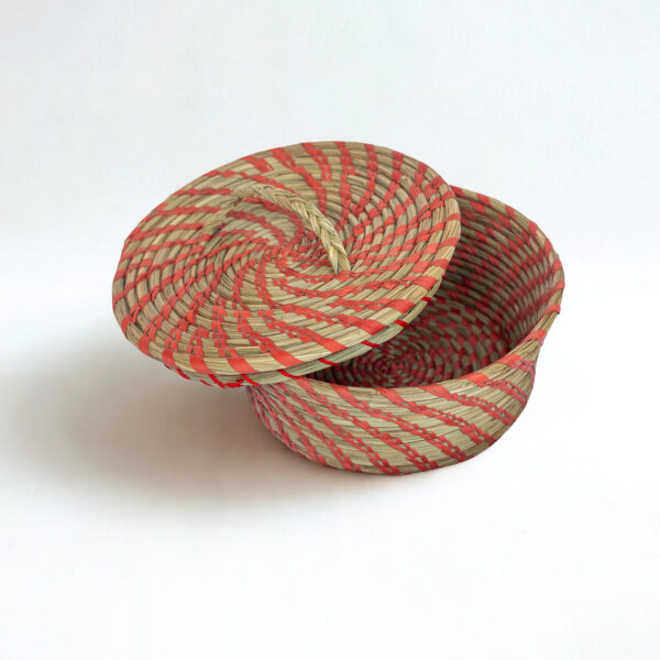 Container with Lid