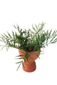 Planter