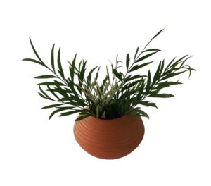Cactus Pot