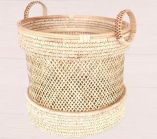 Kashi Grass (KABA020)